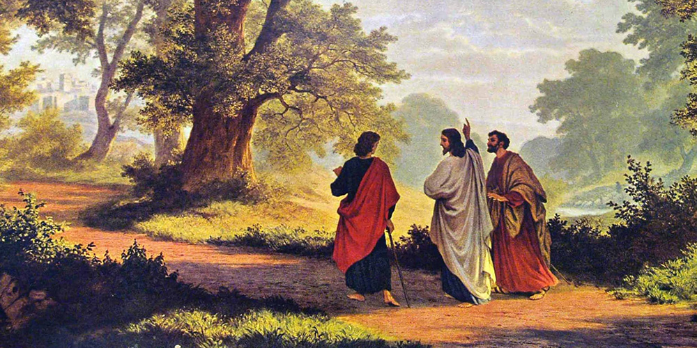Y-Synodality